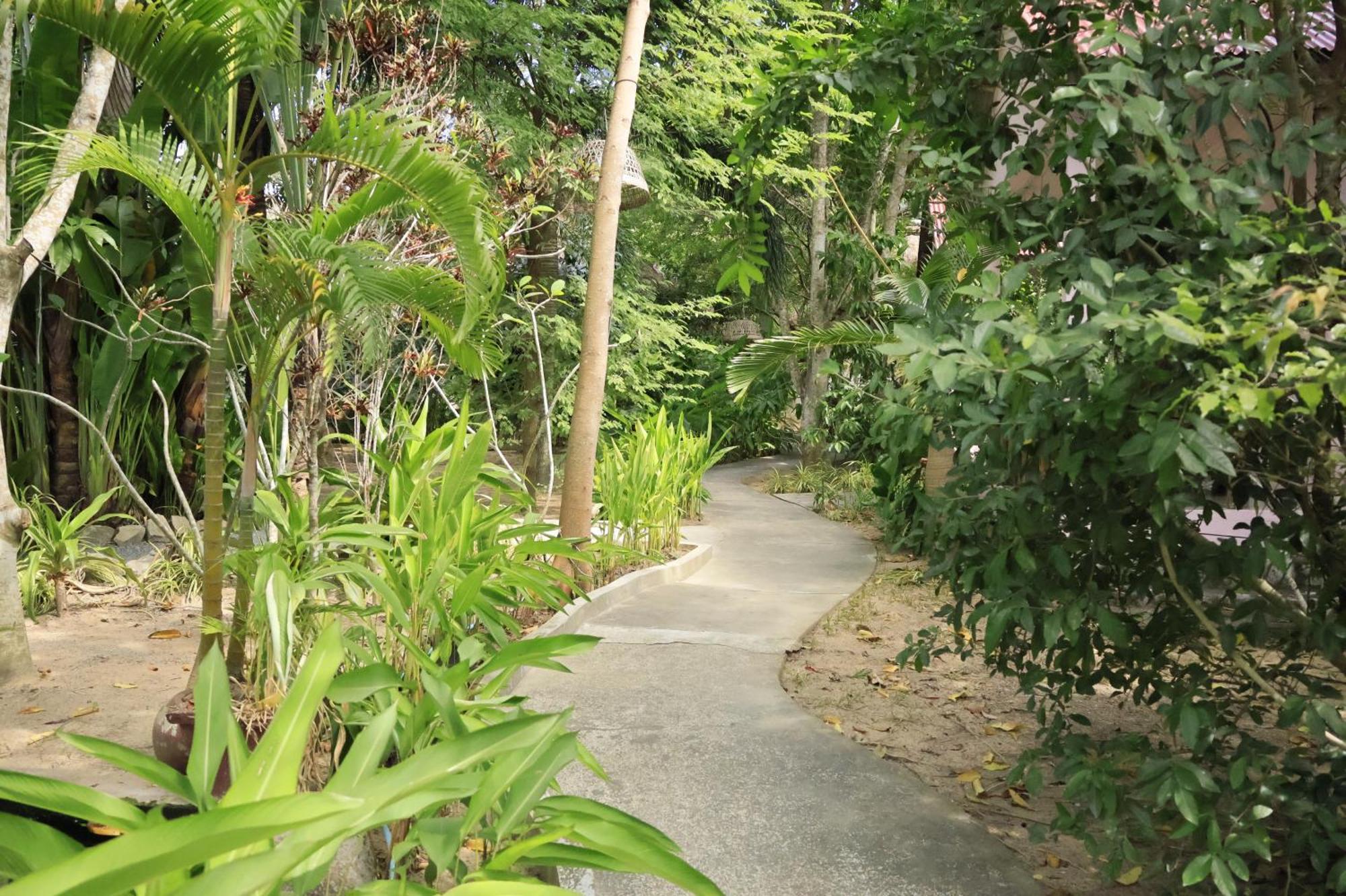 Bird Of Paradise Bungalows Кеп Екстер'єр фото
